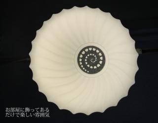 LED󥰥饤 KPC006 ʥƥꥢ ܾ ڥȥ饤 ŷ ̲